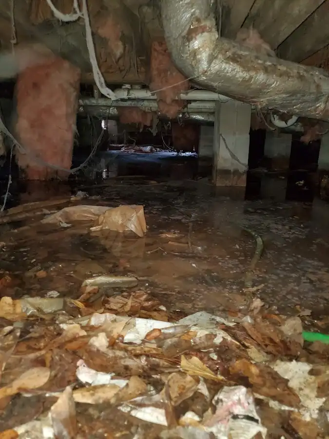 Crawl space flood assessment for Leak Detection & Repair in Blakely