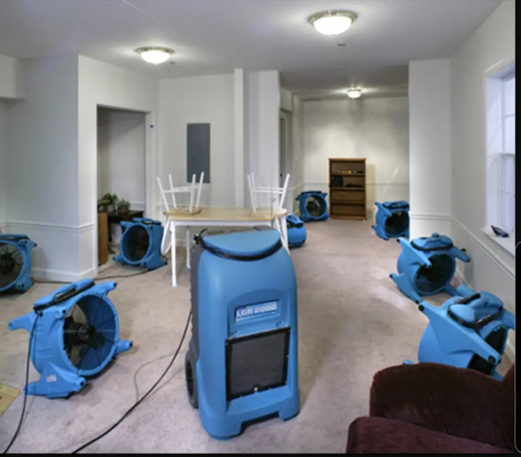 Air movers and dehumidifier setup for Water Extraction & Removal in Blakely